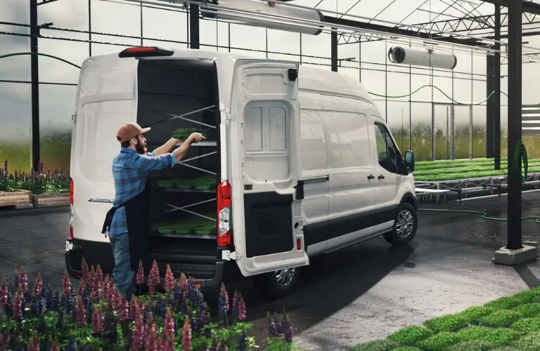 Ford E Transit At Garden Center 768x500 Oem