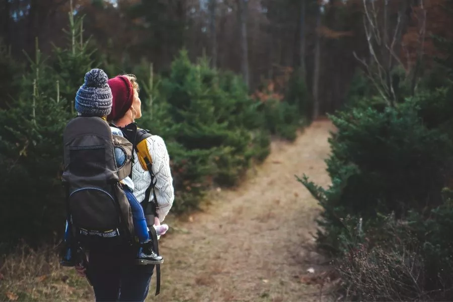 Mom Holding Baby On Carrier While Hiking C