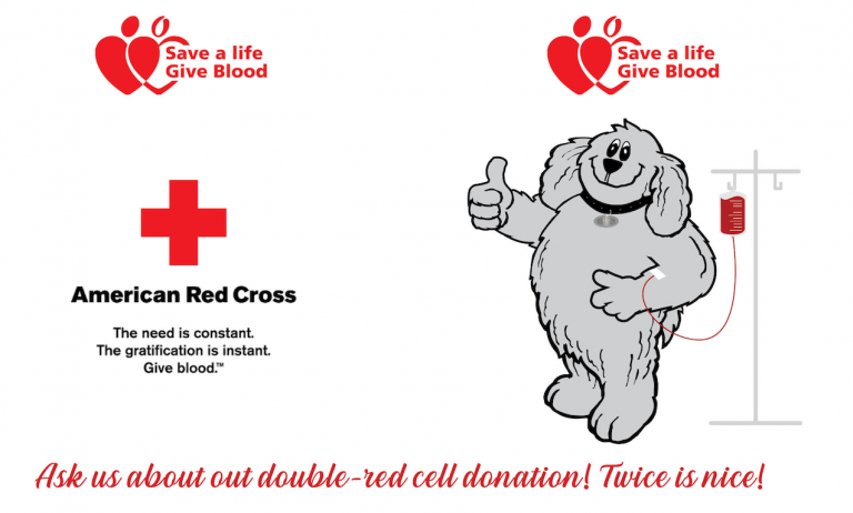 Screen Shot 2020 01 13 At 11.54.27 Am