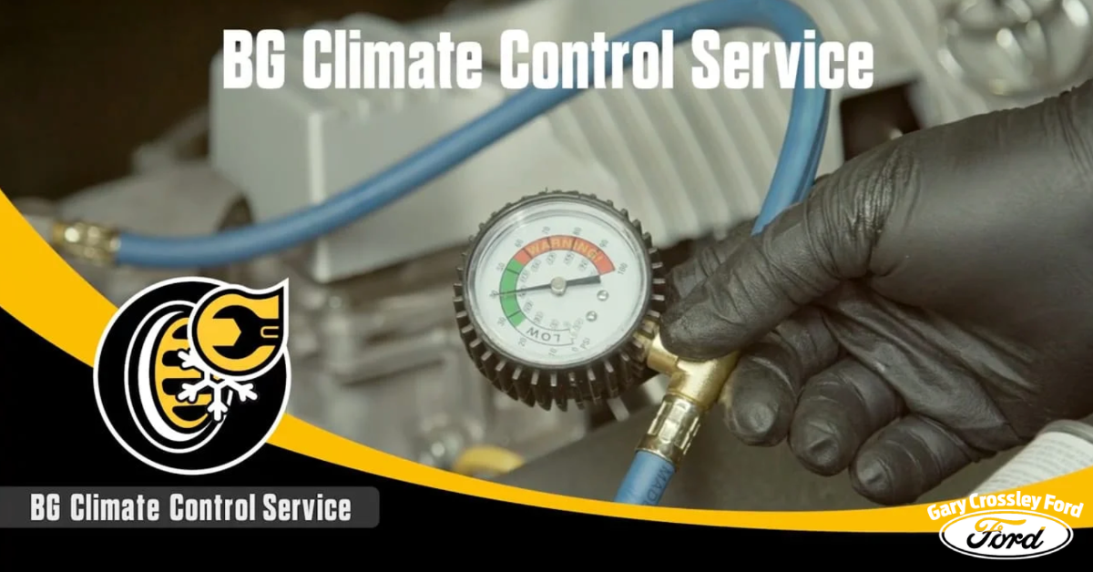Stay Comfortable on the Road with the BG Climate Control Service