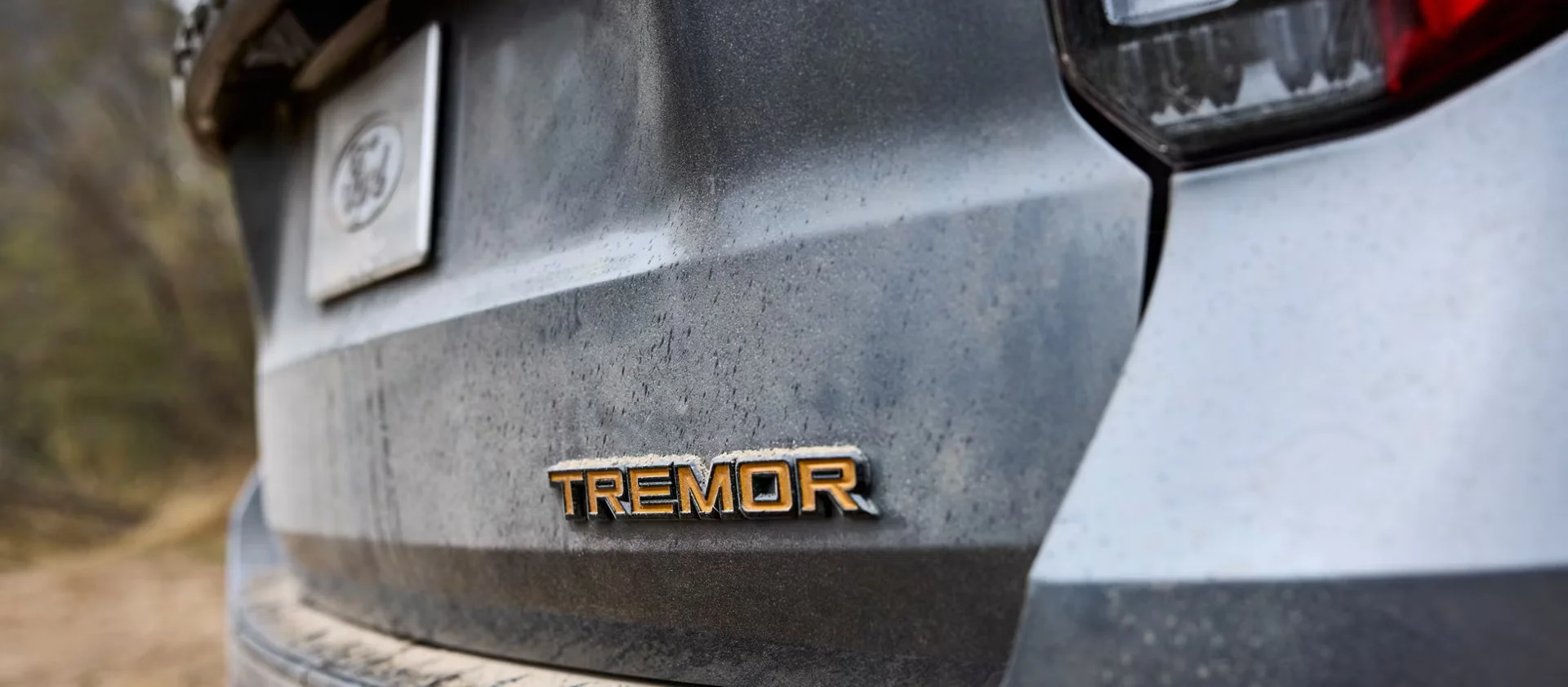 Exterior Styling