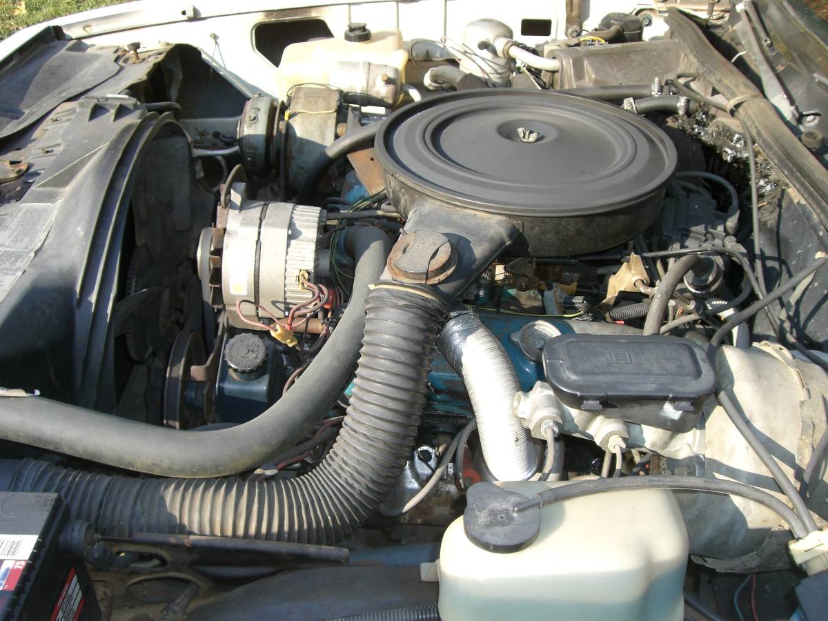 00s0s Lwto8udky53 0ci0t2 1200x900