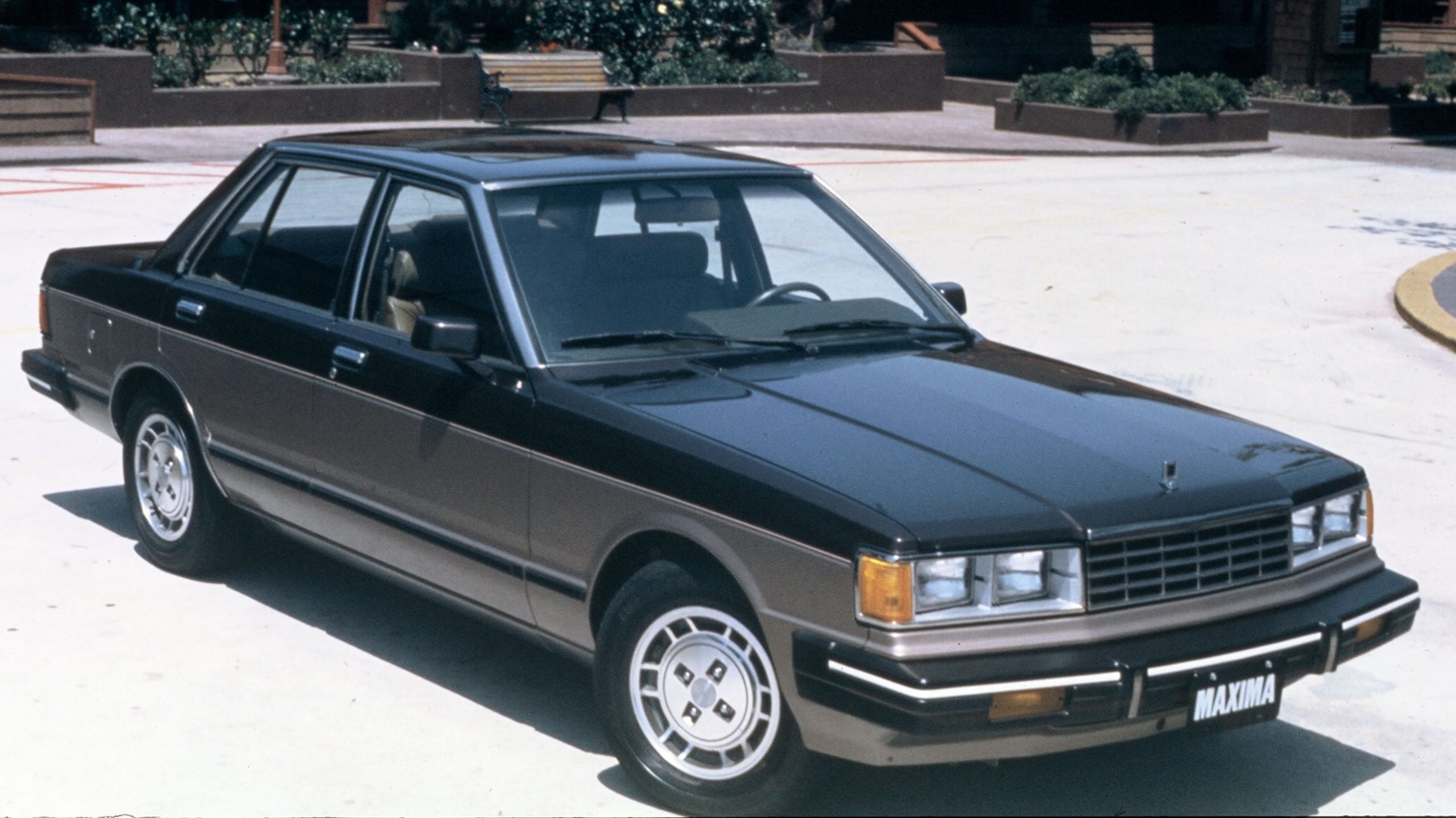 First Generation Maxima: 1981 To 1984