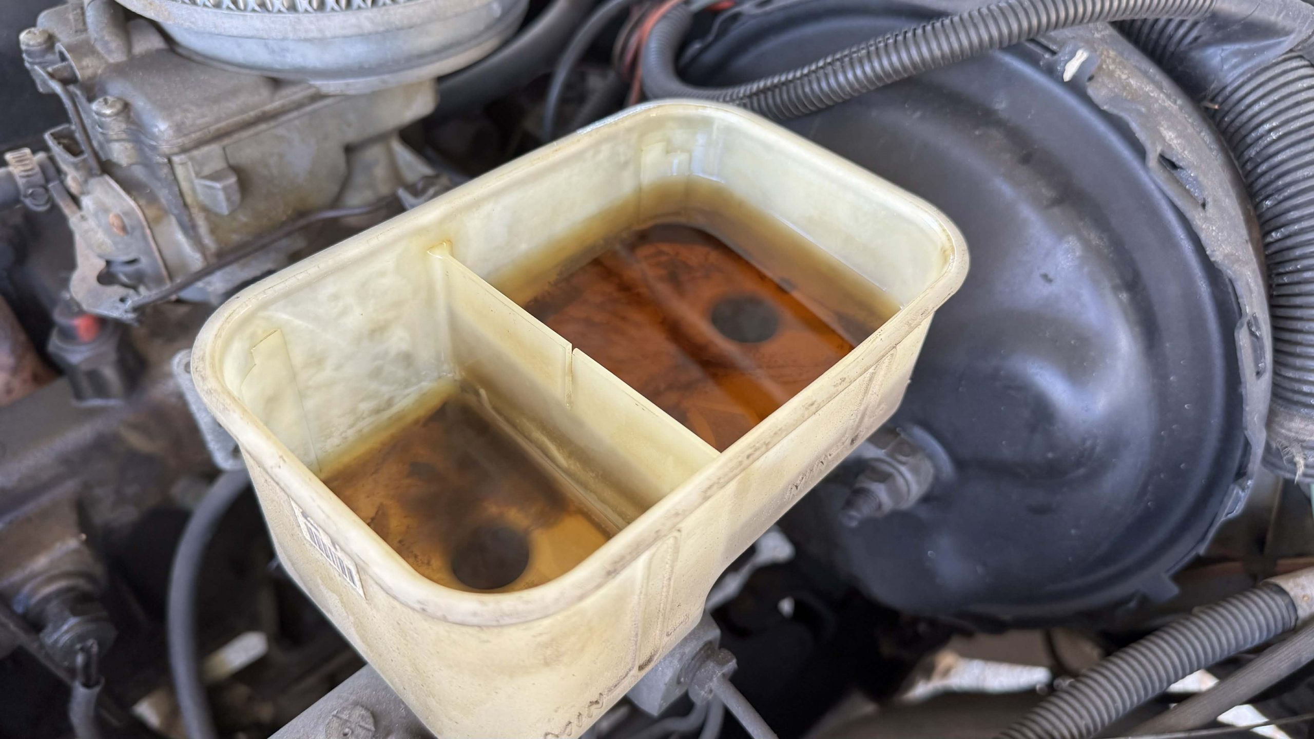 10e70ef8 031c 4a41 B690 A609fbf4790a