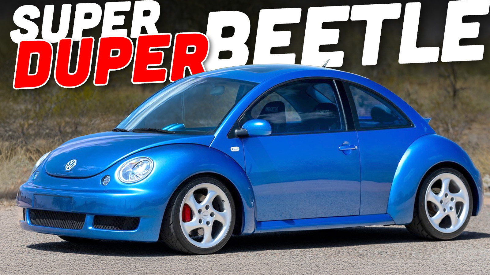 2001 Volkswagen New Beetle Ts