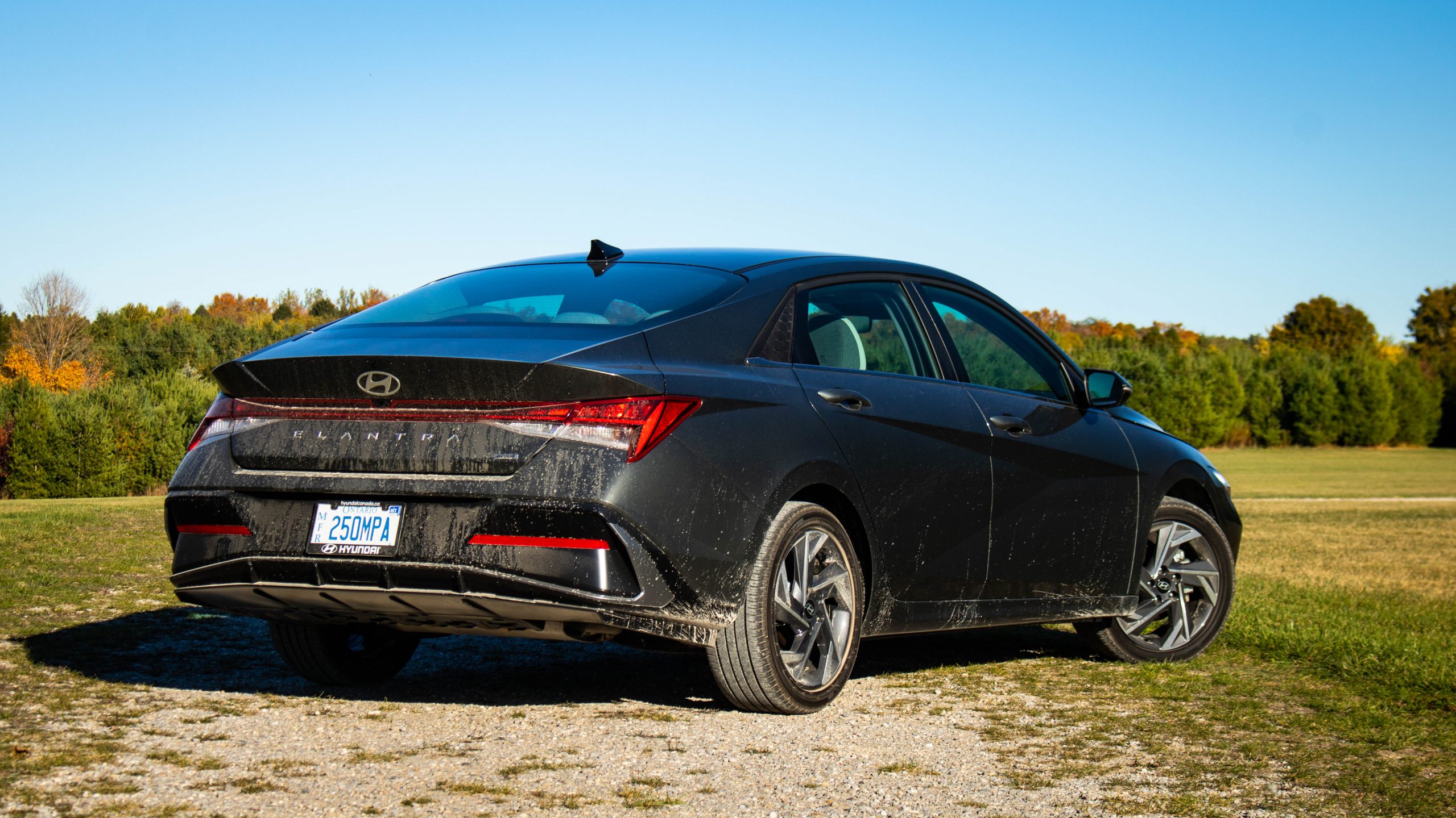 rear three quarter view