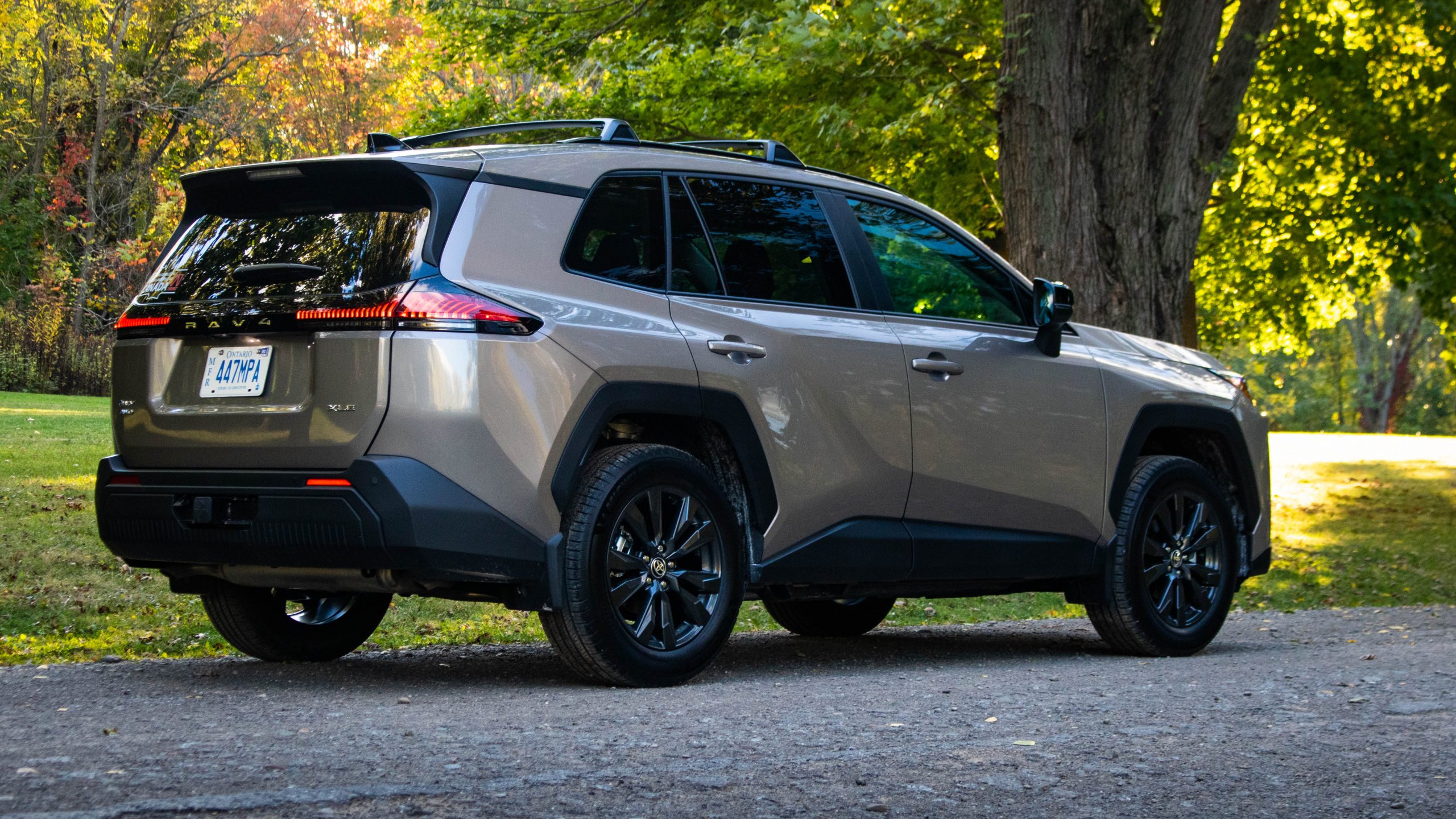 XLE rear three-quarters
