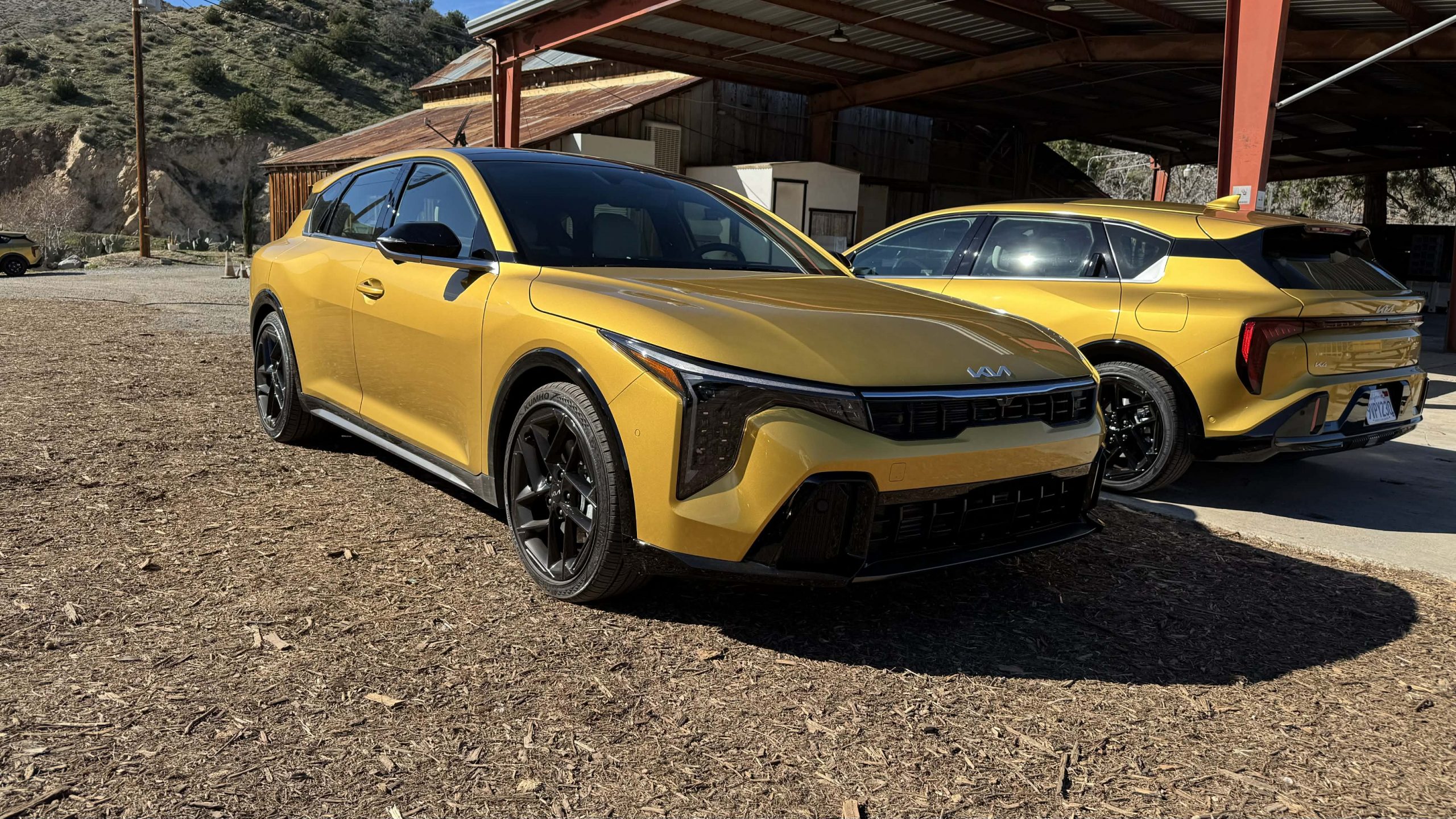 45363160 Ff69 4a39 Ab1e 4197eba7feb9