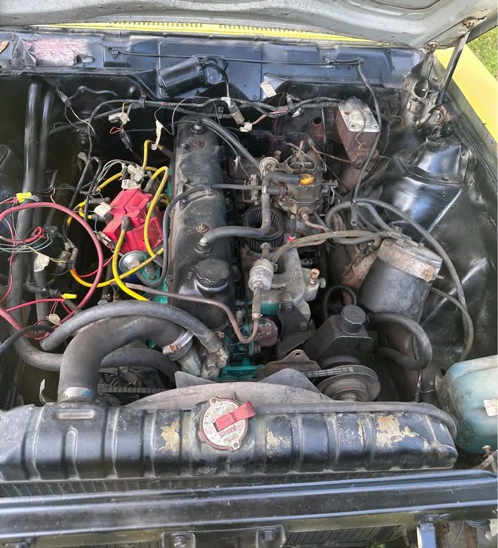 525219171 10227222093955403 1525826970720996687 N