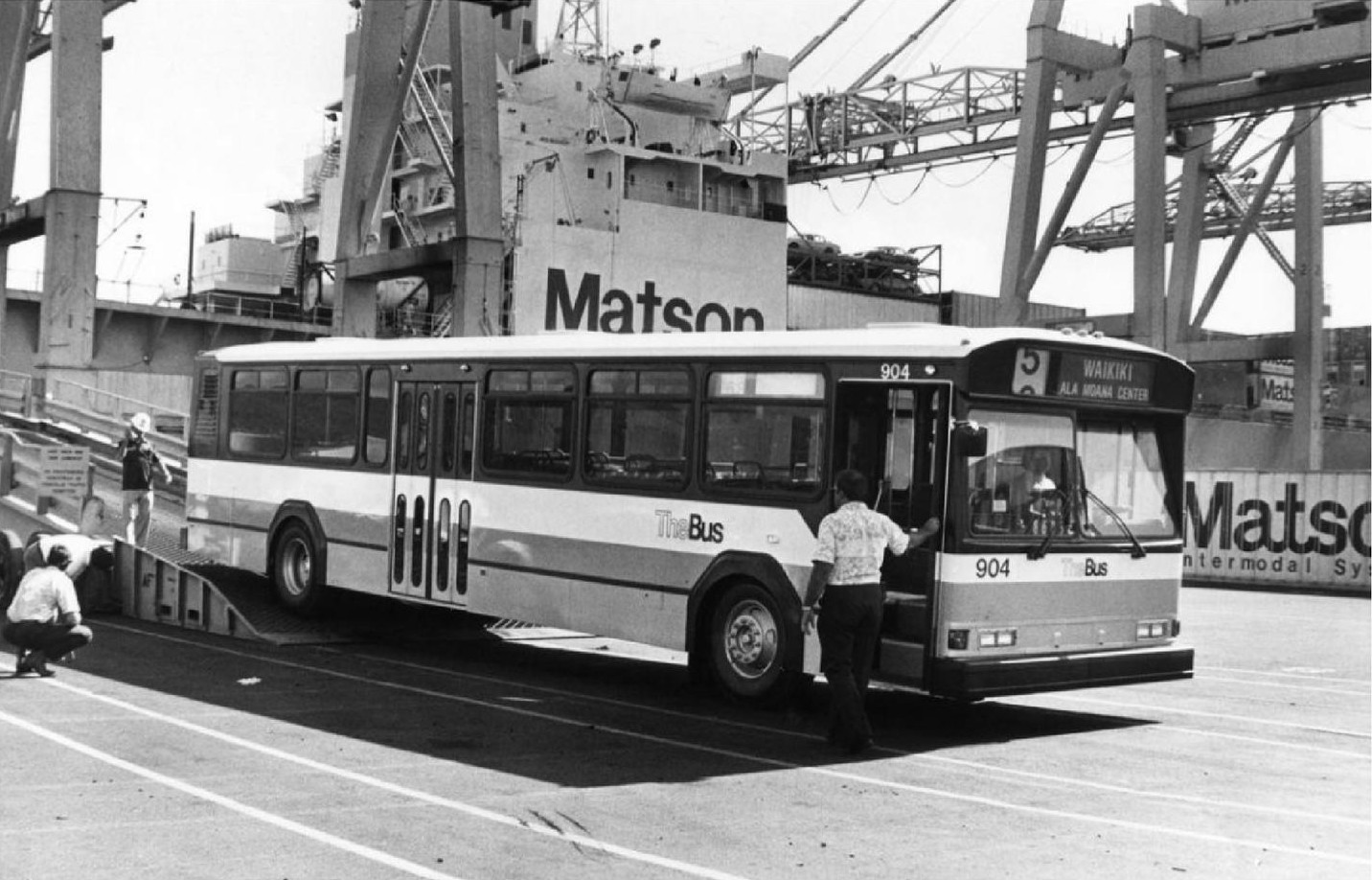 539904769 1448494147277223 31634