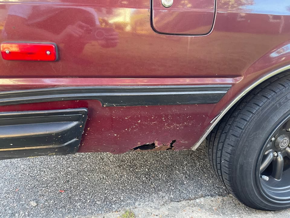 559520512 689248604220018 7919920486484639569 N