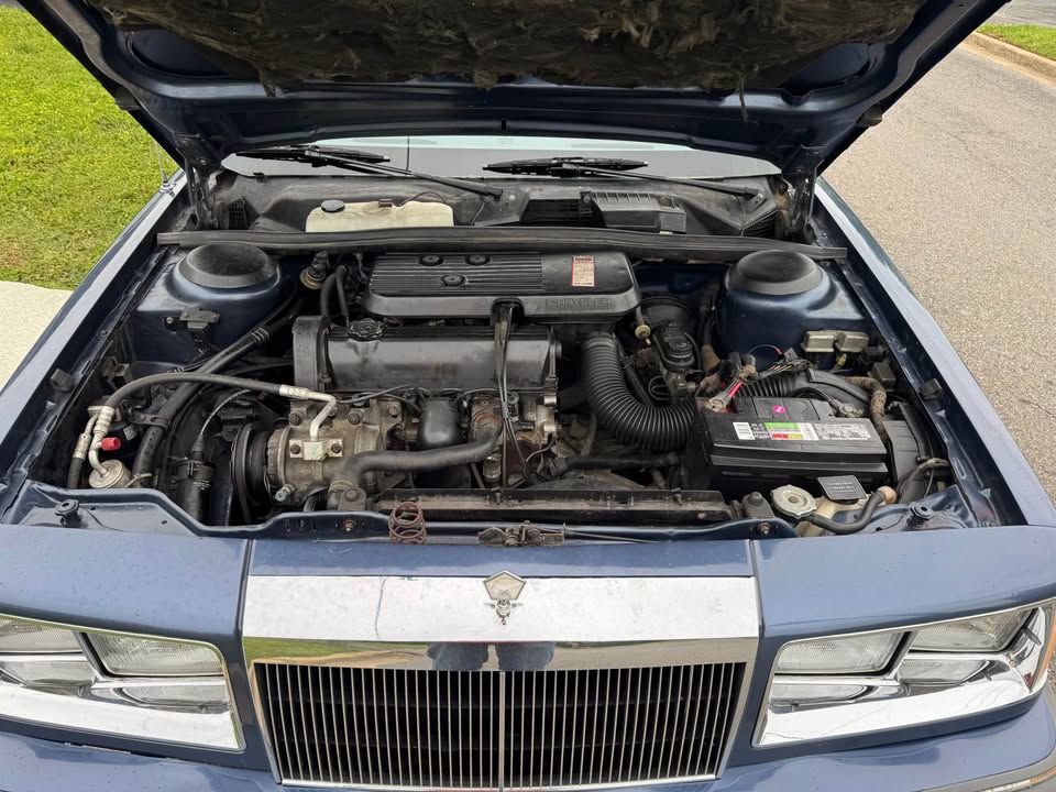 572096091 838258588649866 7583489834600211341 N