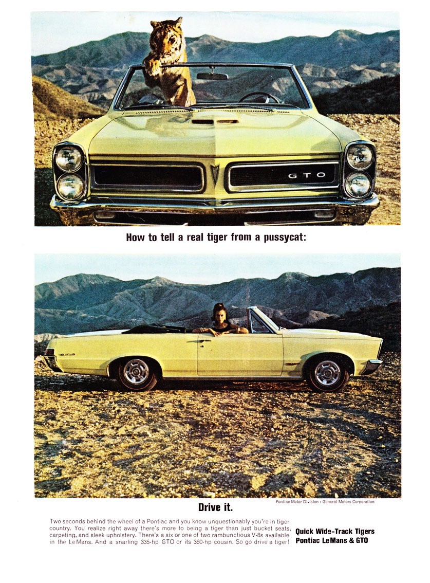 65gto