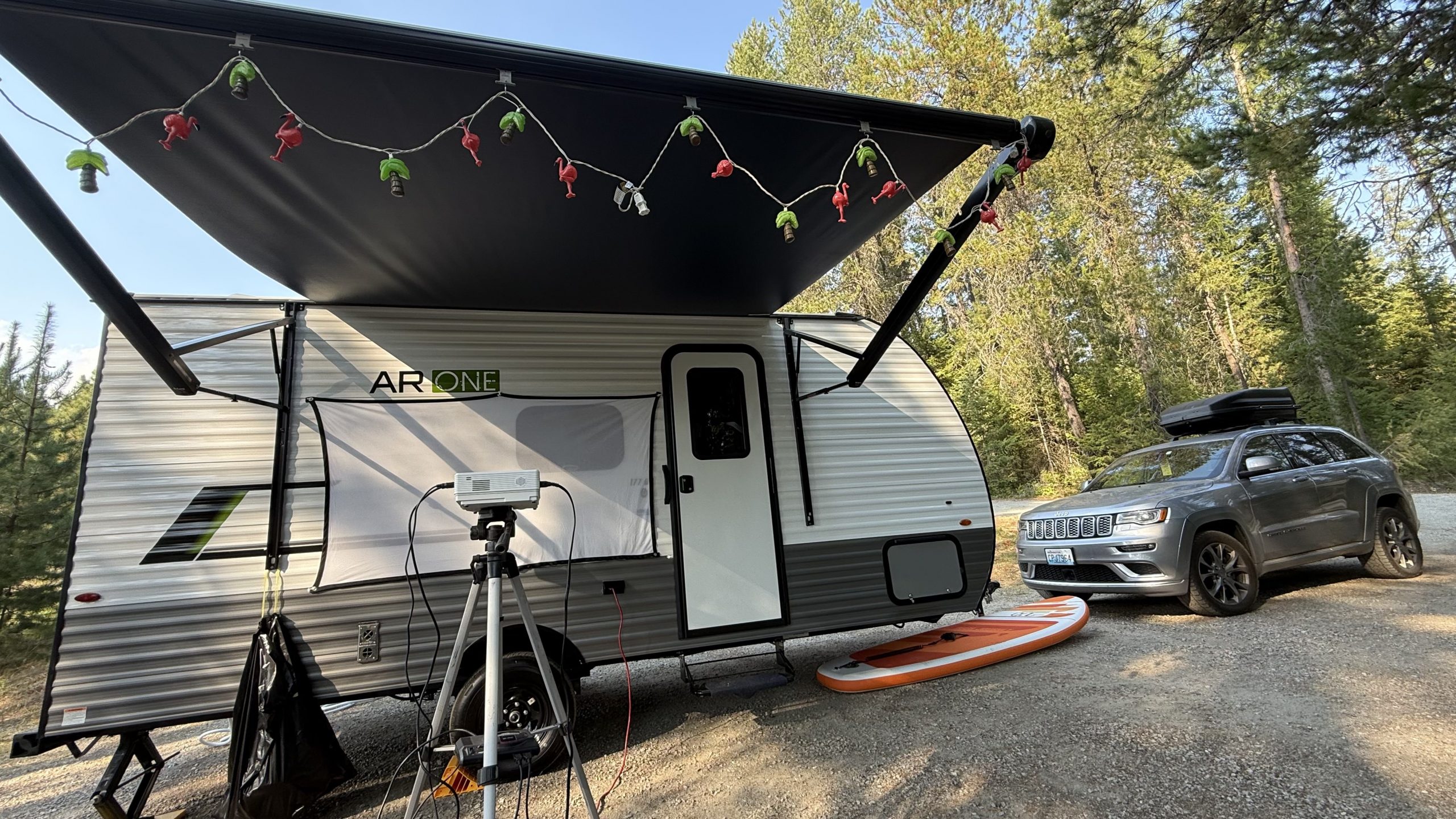 A9a68af1 D49e 41d7 93fe 43298d233a39 1 201 A