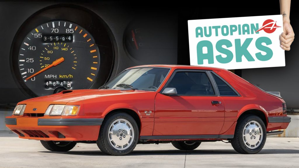 Aa Dumbest Law Regulation Ts