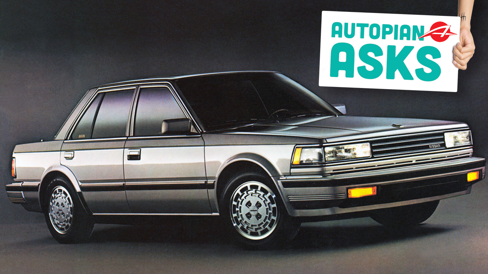 AA_Maxima_TS Aa Maxima Ts