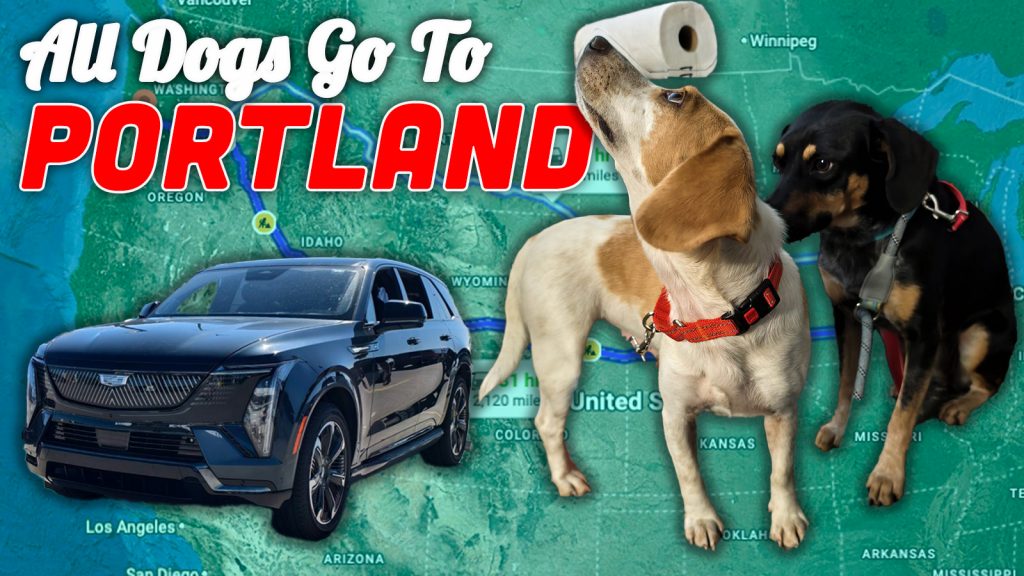 Adgtpland