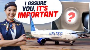 Airliner Windows Open Ts2