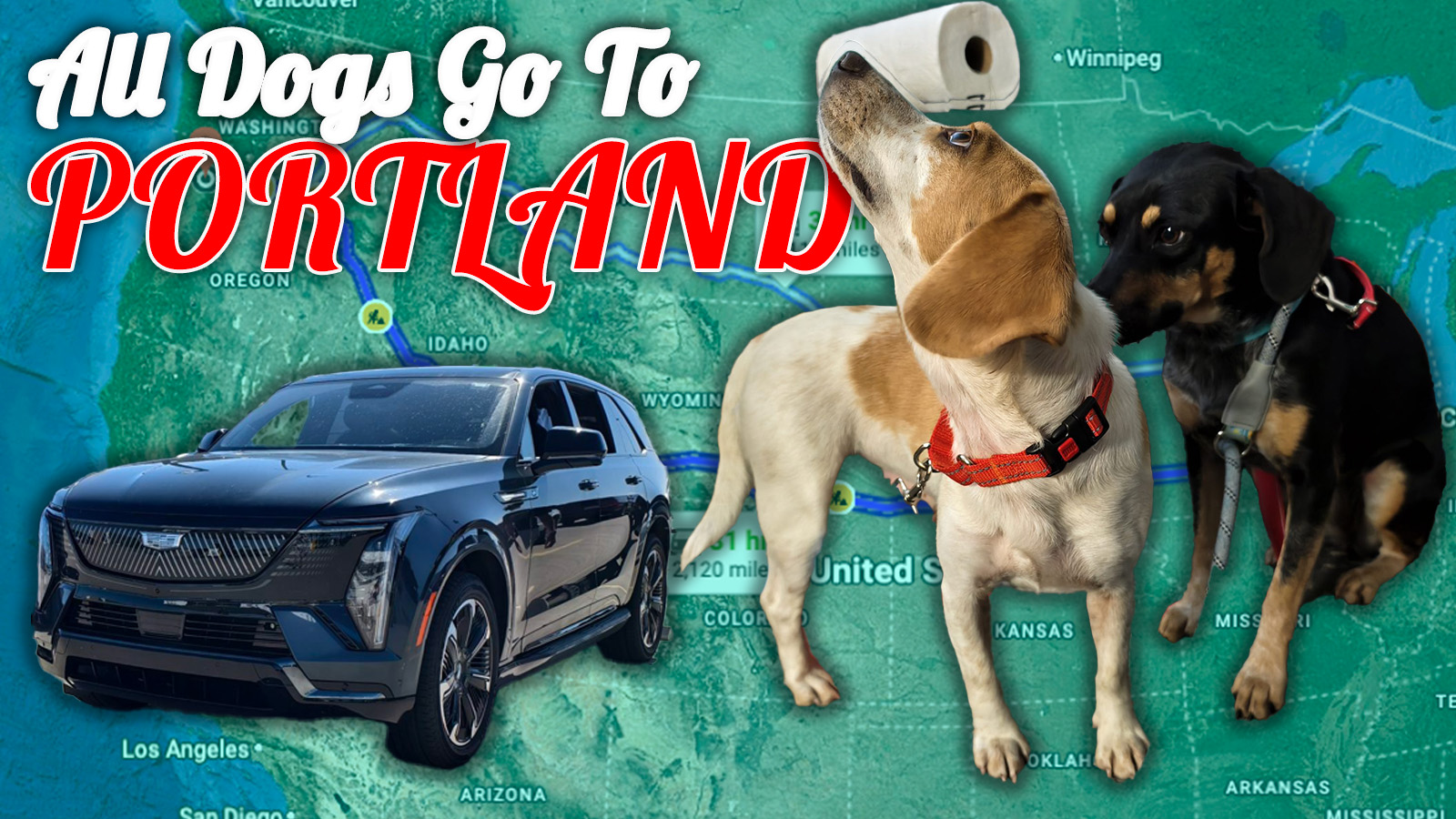 All_Dogs_To_To_Portland All Dogs To To Portland