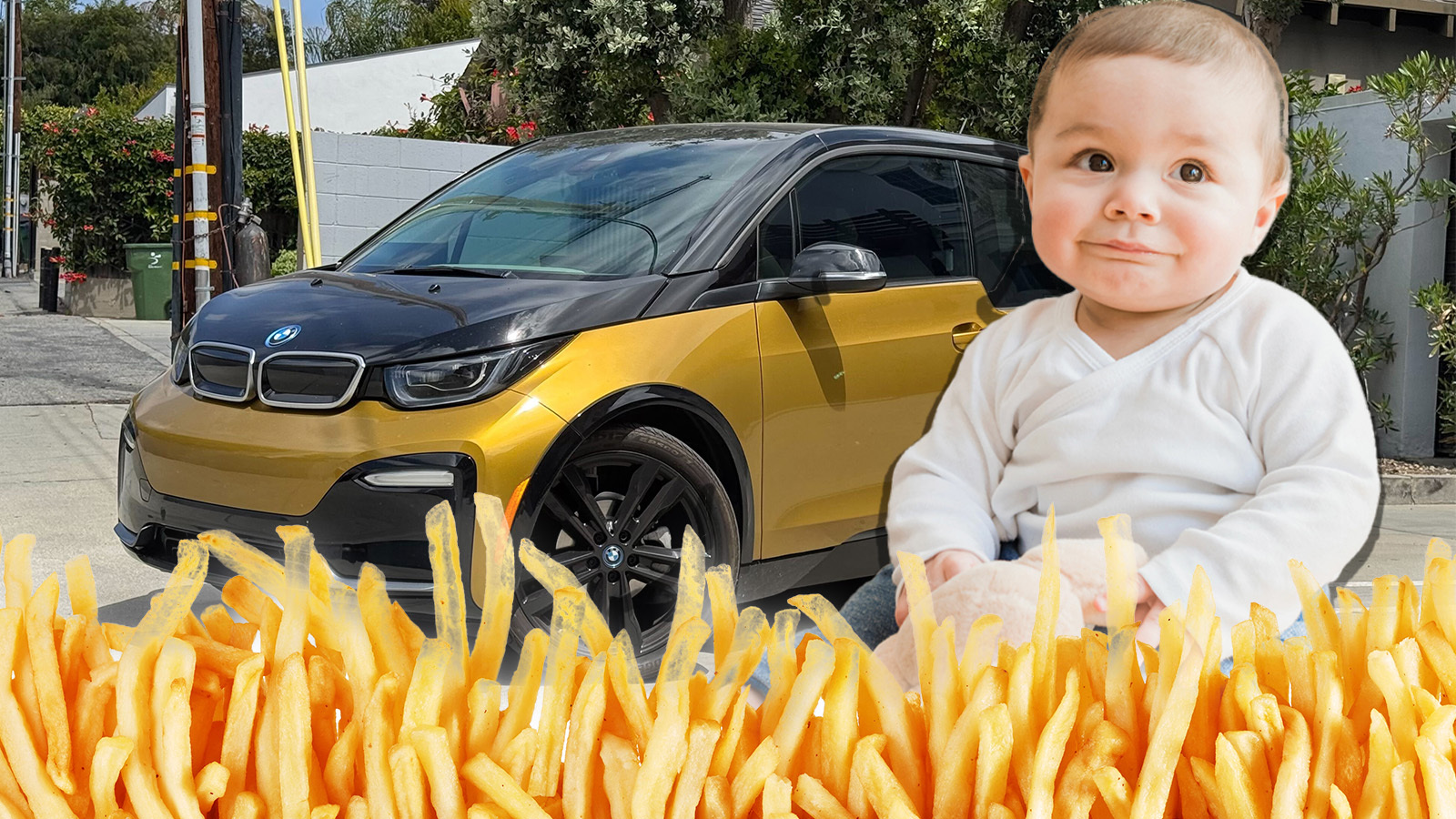 Bmw I3 Fries