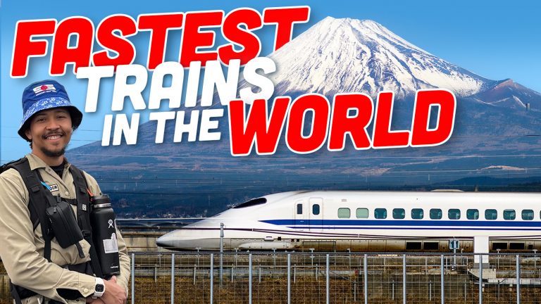 Fuji And Train