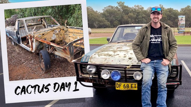 Cactus Build Story Ts