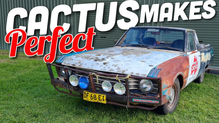 Cactus Update Ts Copy