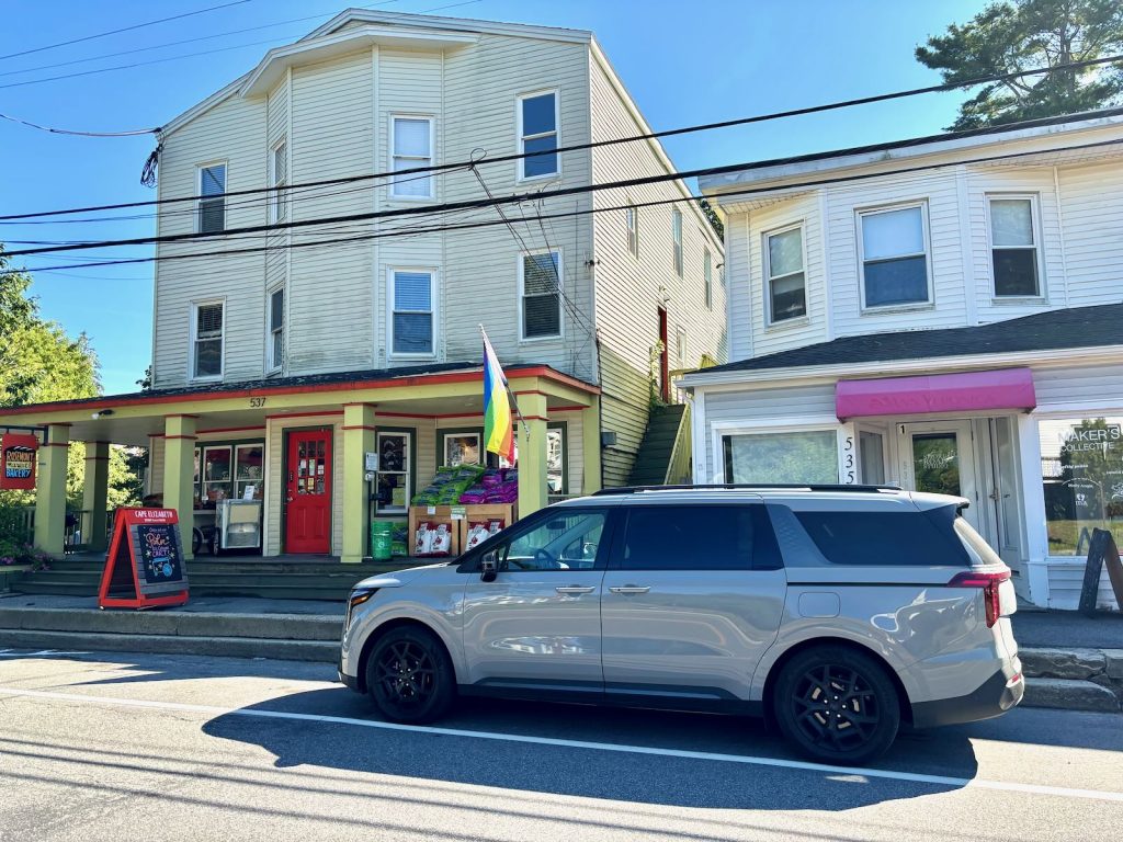 Carnival Hybrid Battery At Store 1