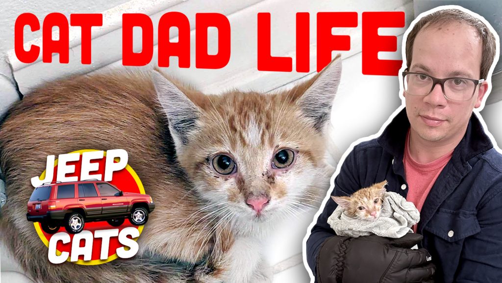 Cat Dad New Ts