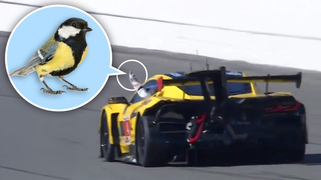 Corvette Bird Flip Ts1