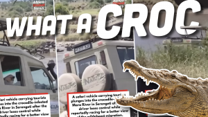 Crocodefender Ts4