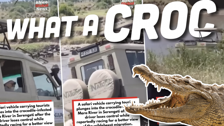 Crocodefender Ts4
