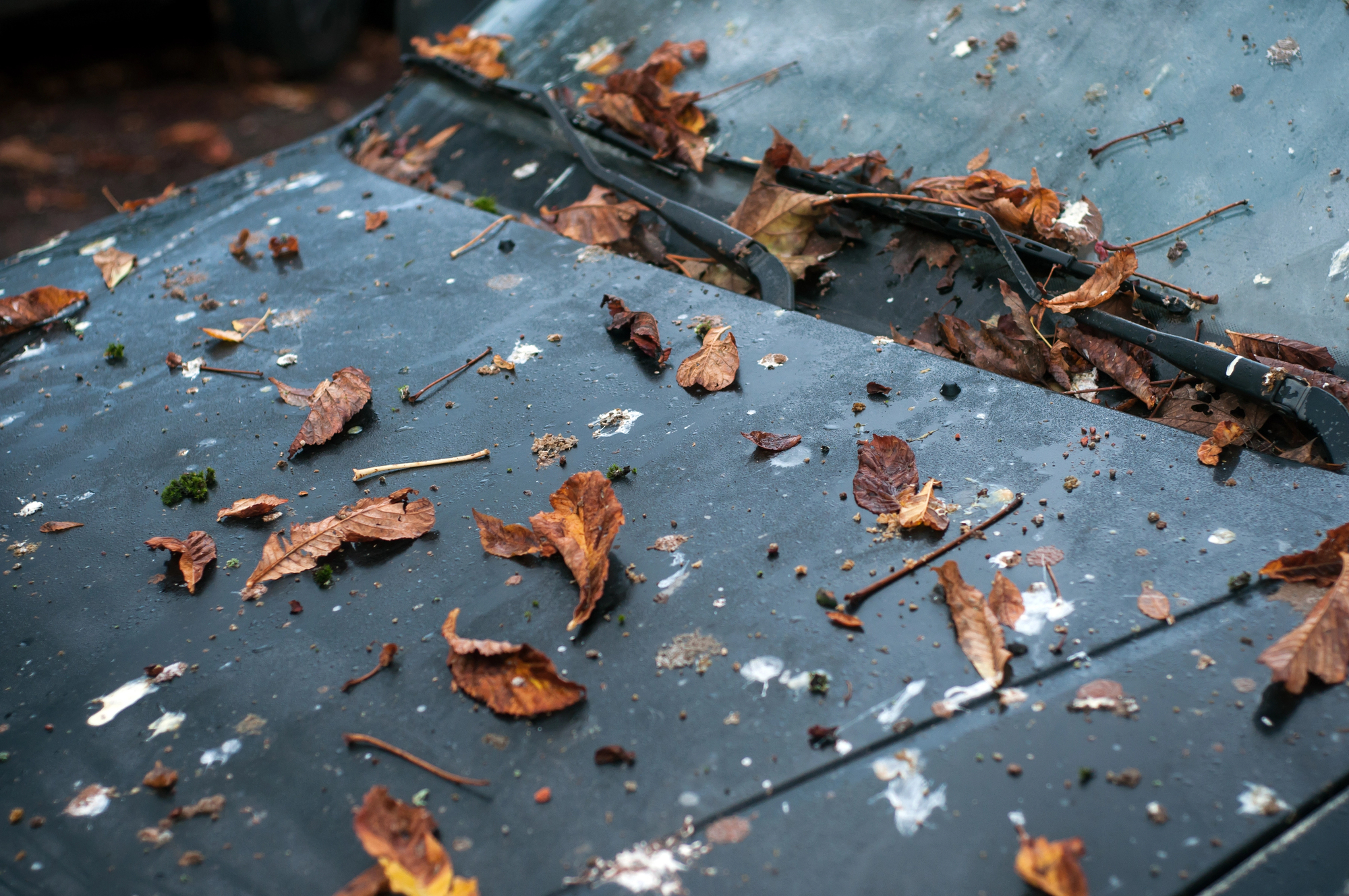 Depositphotos 316724662 L