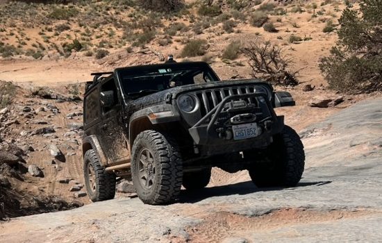 F247f683 7bcd 49a7 8721 8632509eeb6c 1 105 C