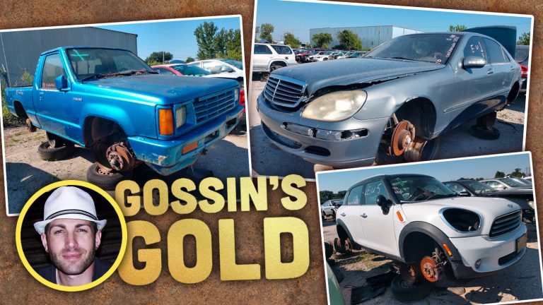 Gossins Gold Ts11323