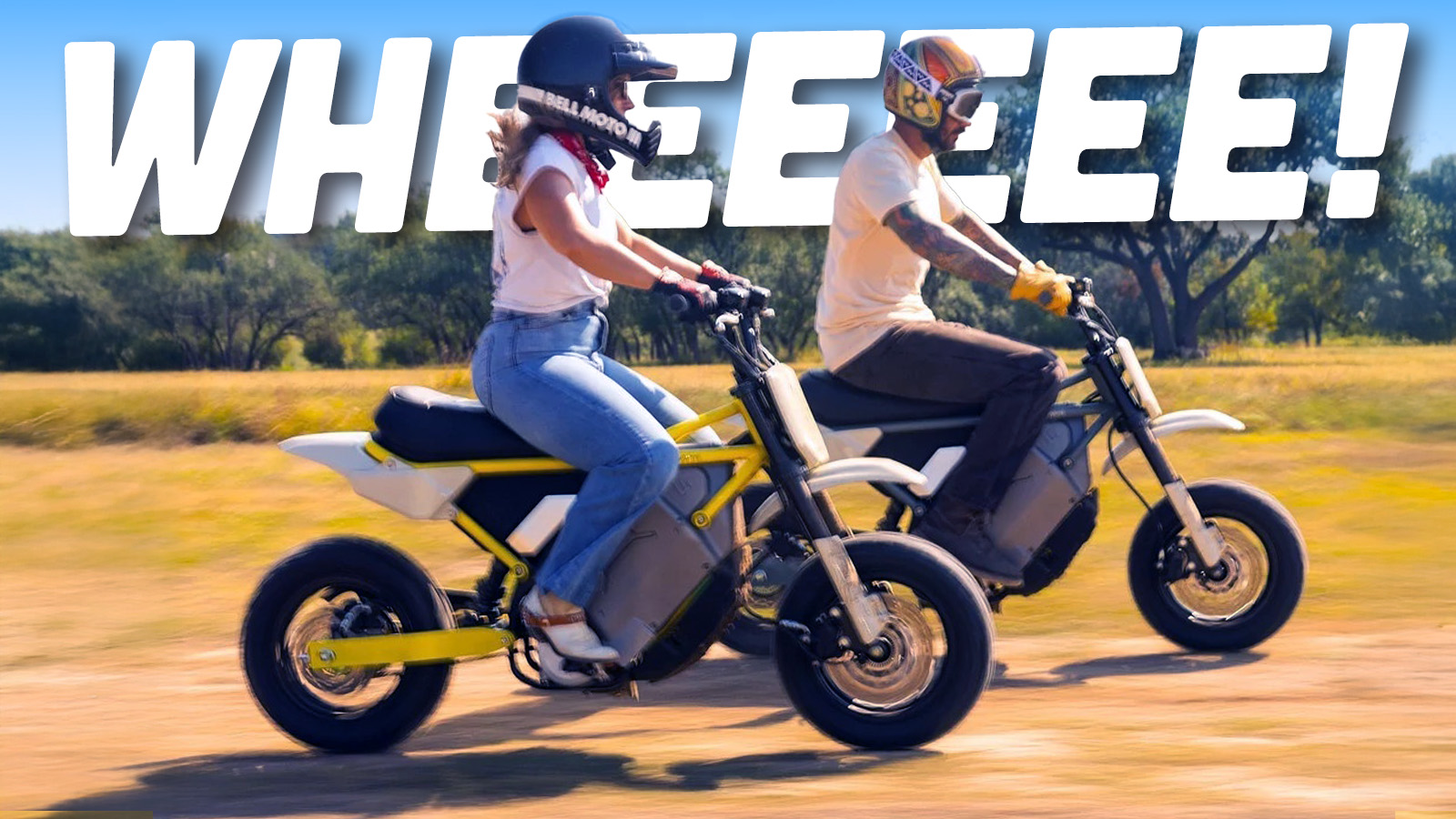 Harley_Beginner_Bikes_TS Harley Beginner Bikes Ts