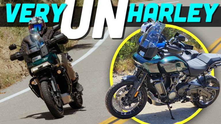 Harley Panamerica Ts