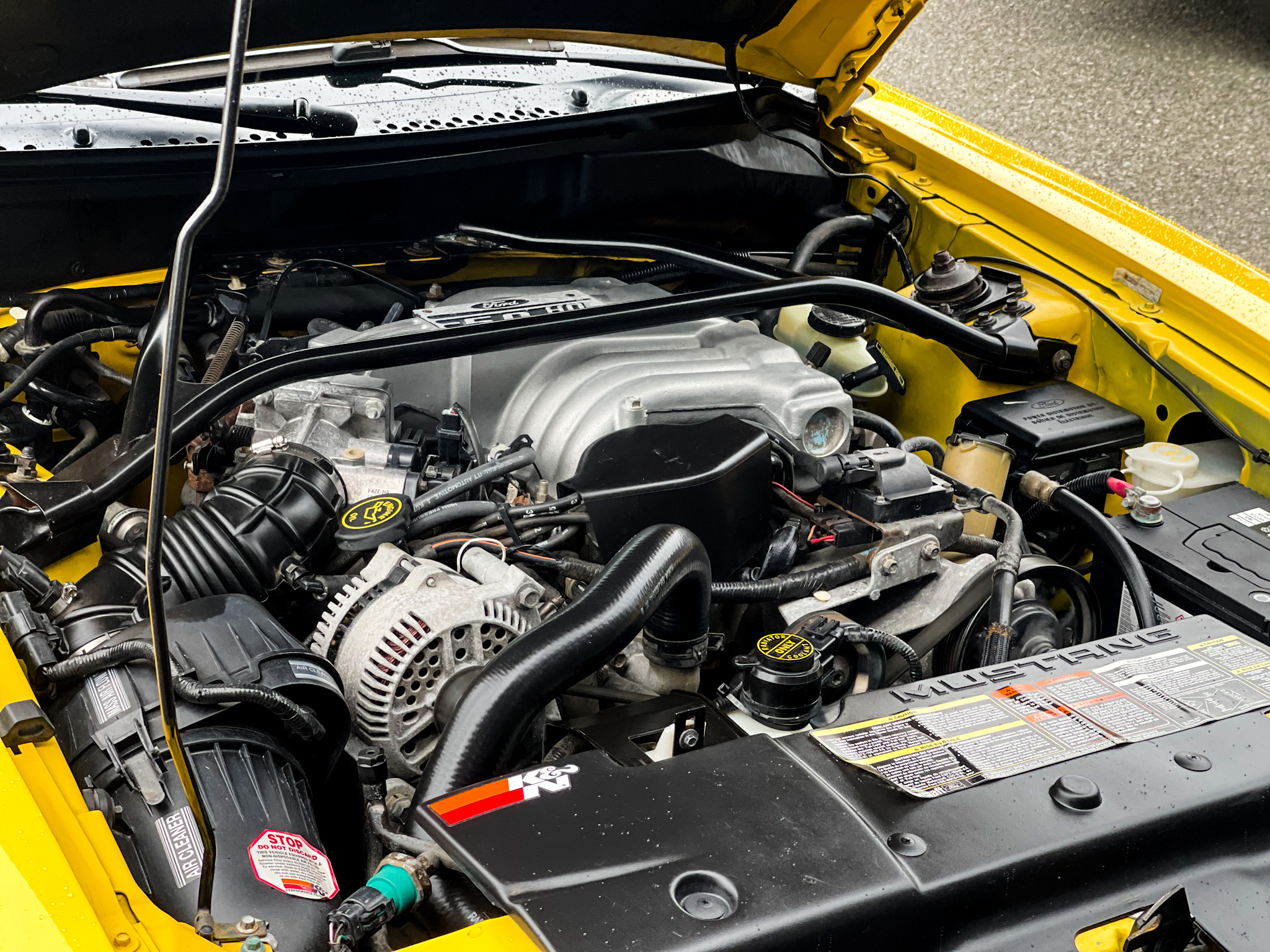 The One Year Only 1995 Ford Mustang GTS Offered A 5 0 V8 Punch In A Base Model Body  Holy Grails - 64