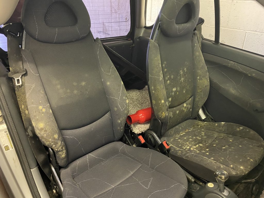 I Accidentally Turned My Car Into A Moldy Superfund Site. Here's How I ...