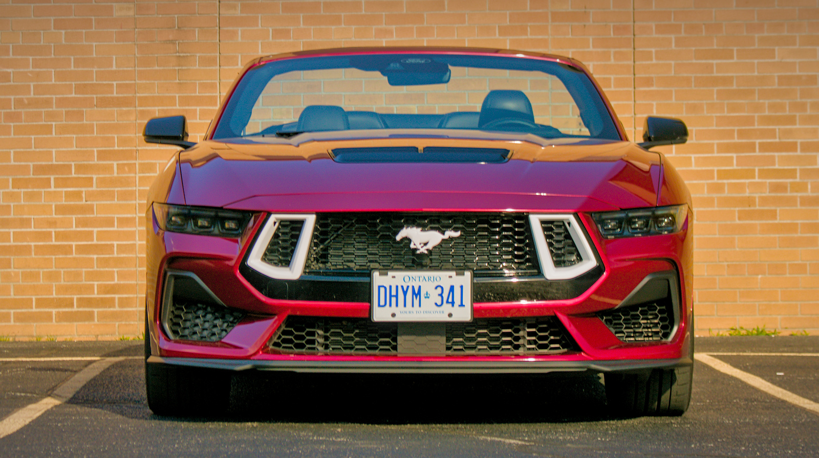 Ford Mustang GT FX