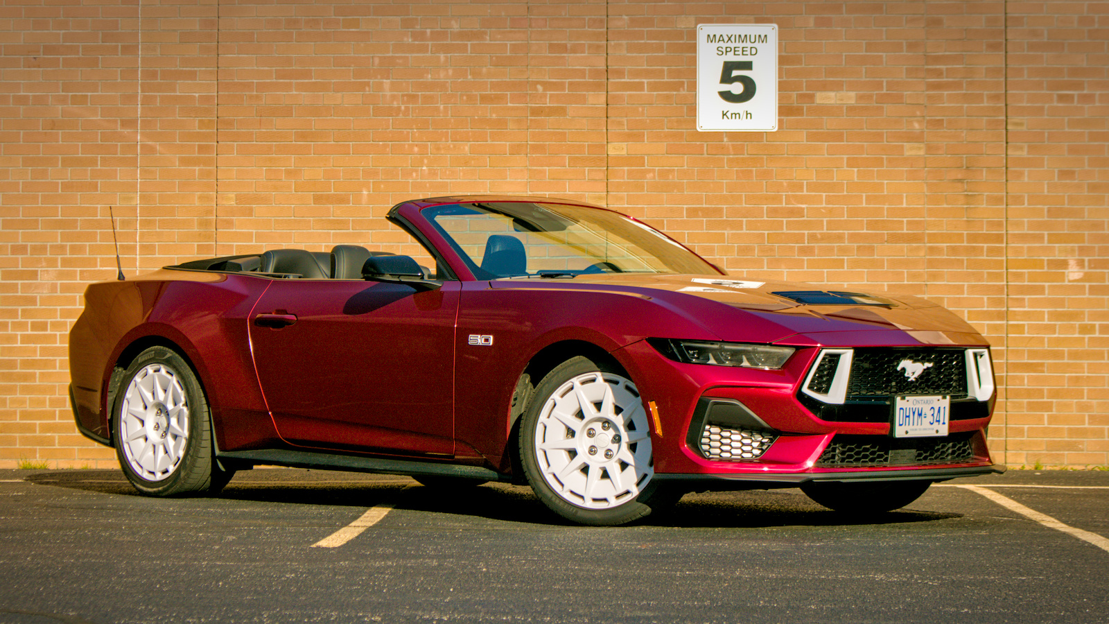 Ford Mustang GT FX