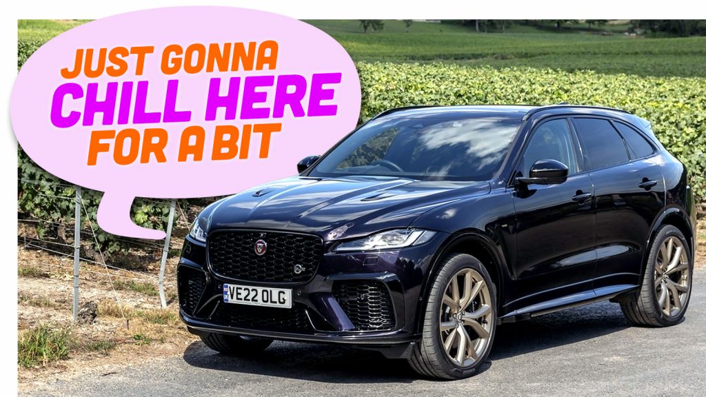 Jaguar Takes Break Ts