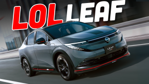 Leaf Nismo Ts2