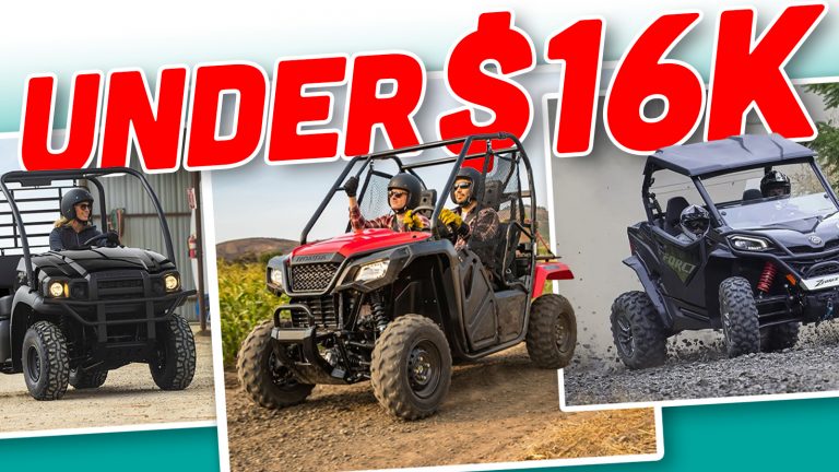 Least Expensive Side By Sides Ts