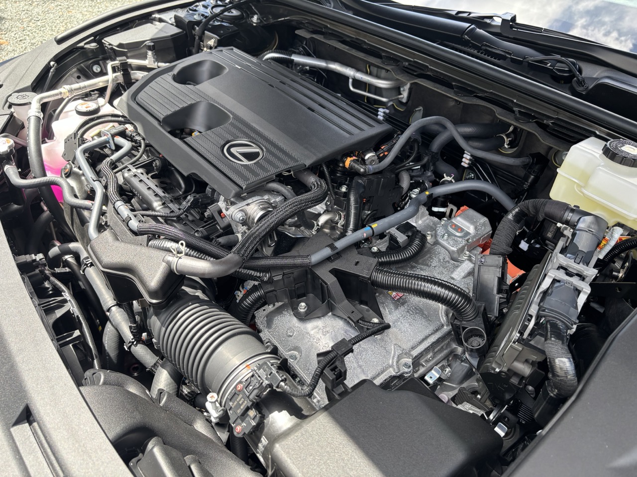 Lexuses 106