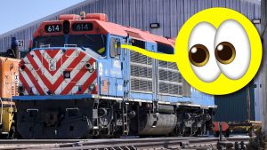 Look Inside Train Ts