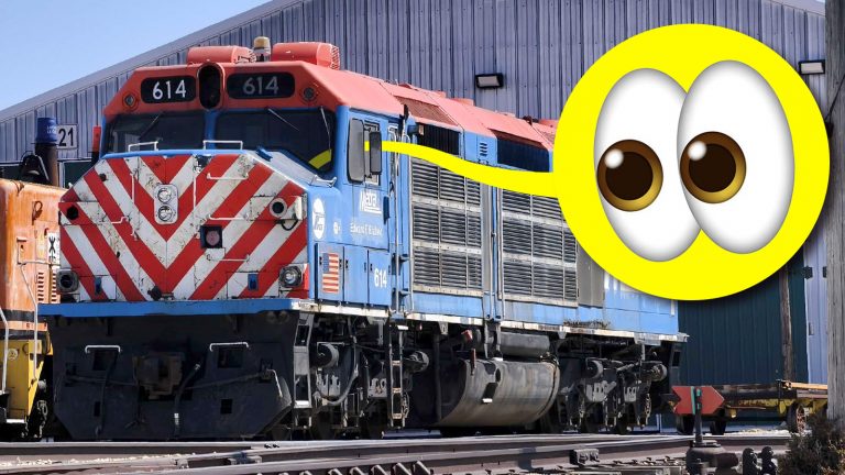 Look Inside Train Ts