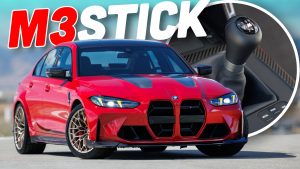 Ms Stick Ts