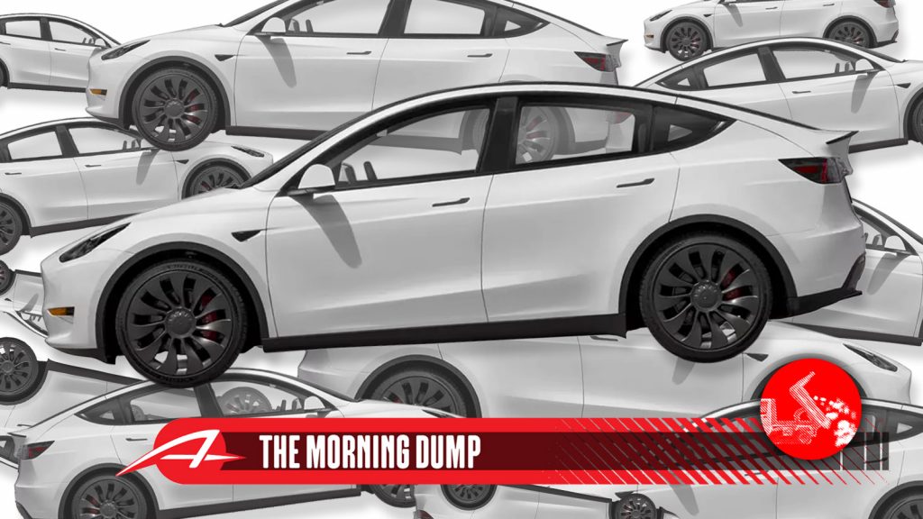 Model Y Tmd 2