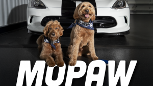 Mopar Pets Ts3